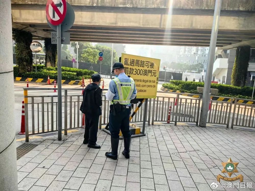 今晚澳门精准一肖一马，警惕违法犯罪风险