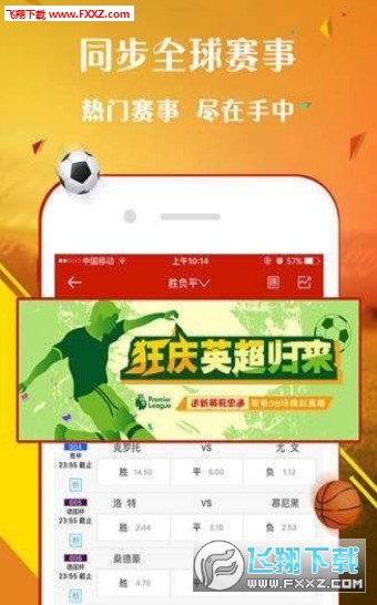 关于澳门王中王彩票的探讨与警示——警惕违法犯罪问题的重要性