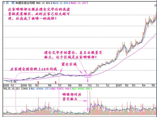 探索三码中特的奥秘资料