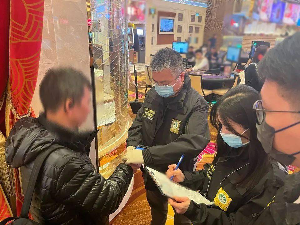 新2024年澳门天天开好彩——揭示背后的违法犯罪问题