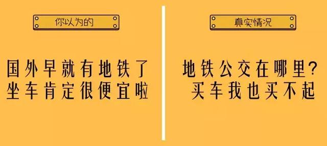 澳门天天开好彩背后的犯罪问题，揭示真相与警示社会（2004年澳门天天开好彩大全）