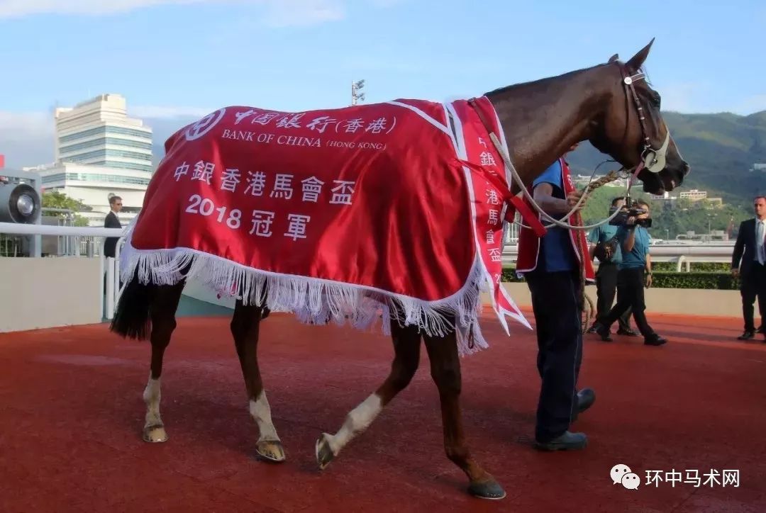 知识总结 第496页