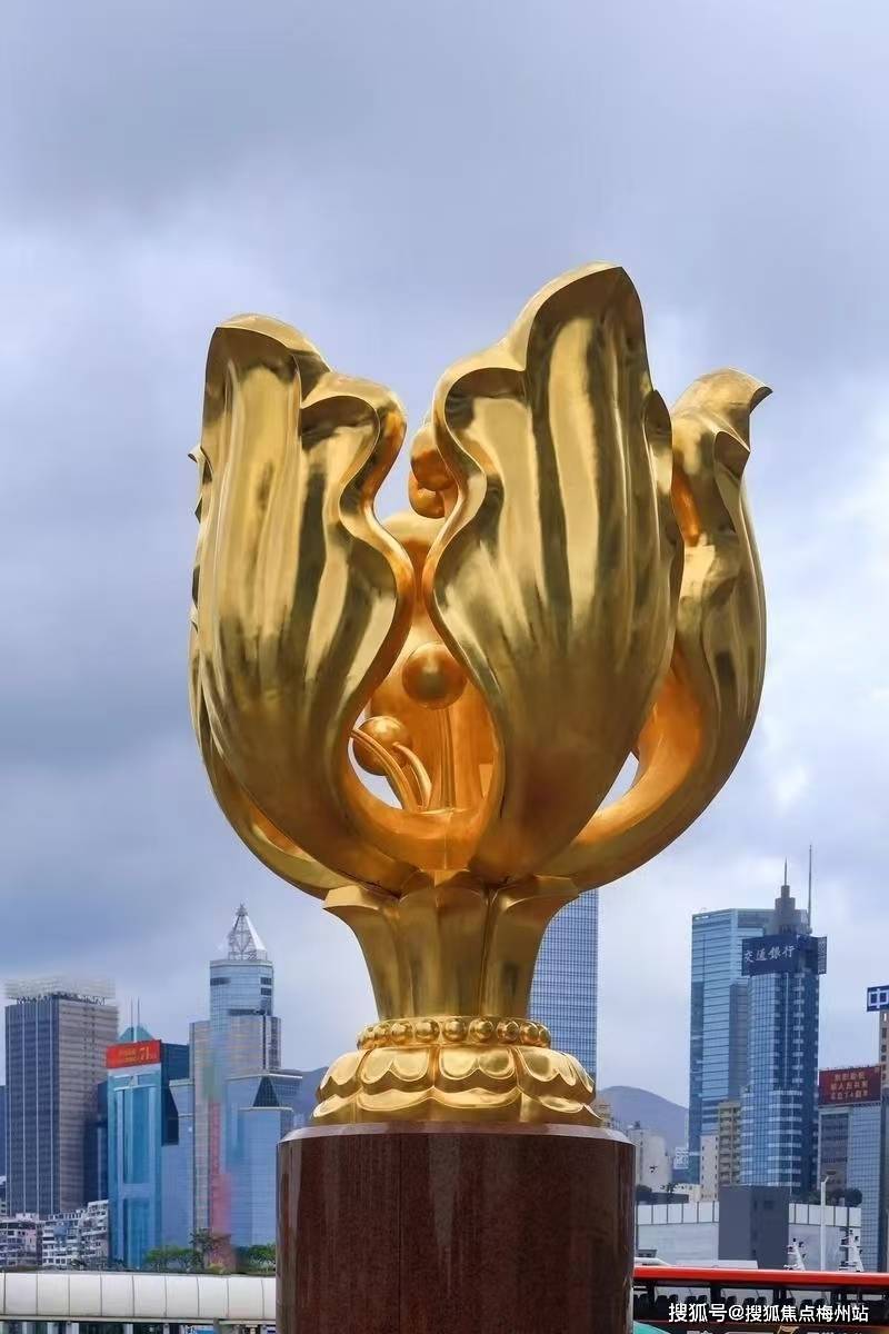 2024年香港资料免费大全，香港资料免费大全 2024年概览