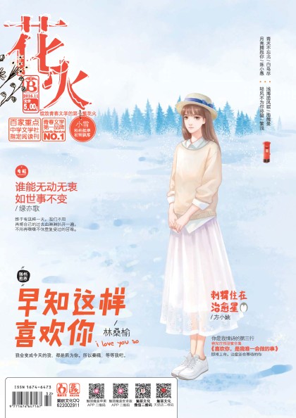 花火杂志最新一期期号，深度解读与独特体验