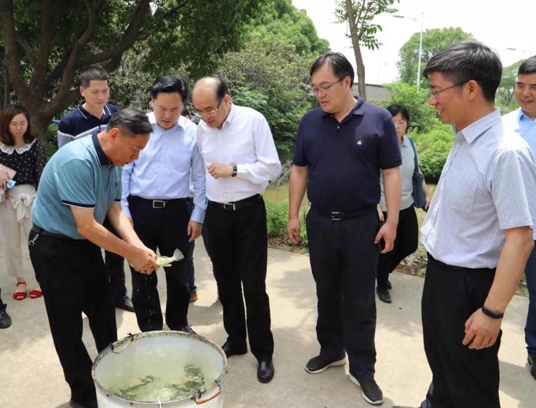 长江新闻号最新一期手机观看，新闻与科技的完美结合
