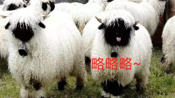知识总结 第433页