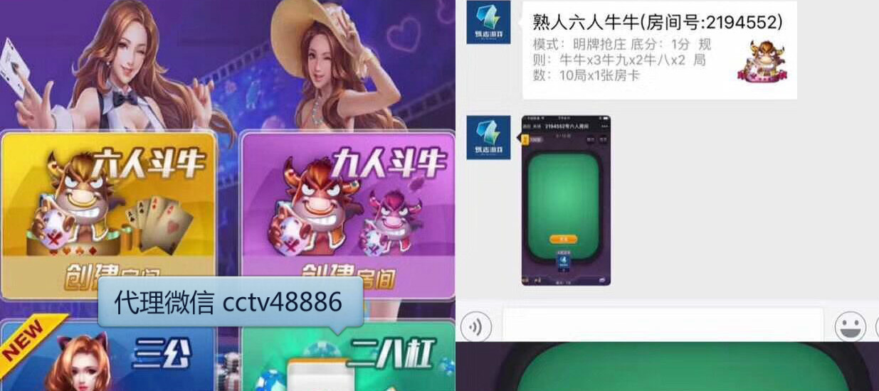 新奥天天免费资料大全正版优势，全面解析与深度体验