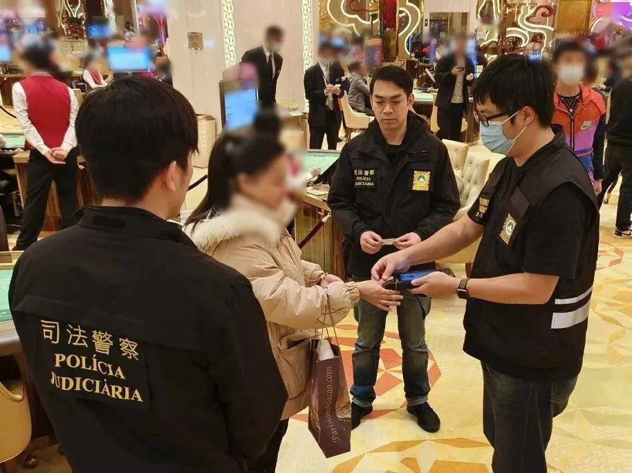 2024澳门天天开好彩背后的探索与挑战——一个关于犯罪与法律的探讨