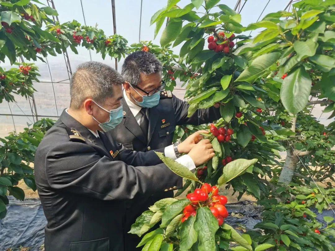 学习心得 第395页