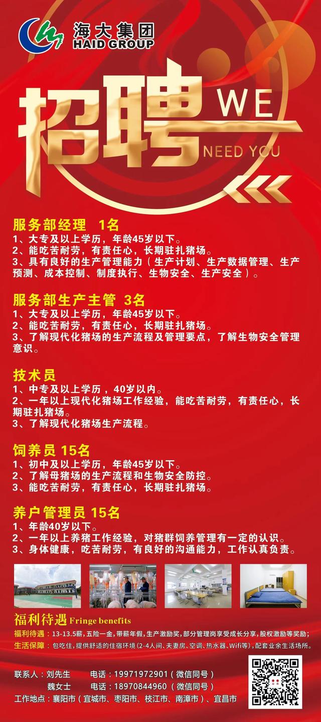 临泉招聘网最新招聘动态深度解析