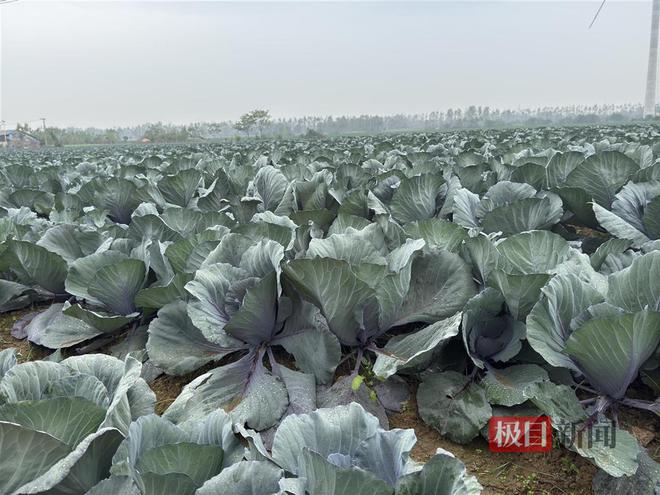 天门市政府最新干部调整动态