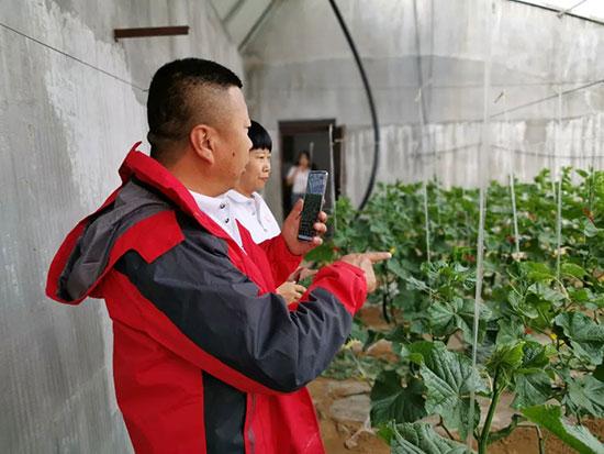 沙圪堵最新房屋出售，投资与居住的优选之地