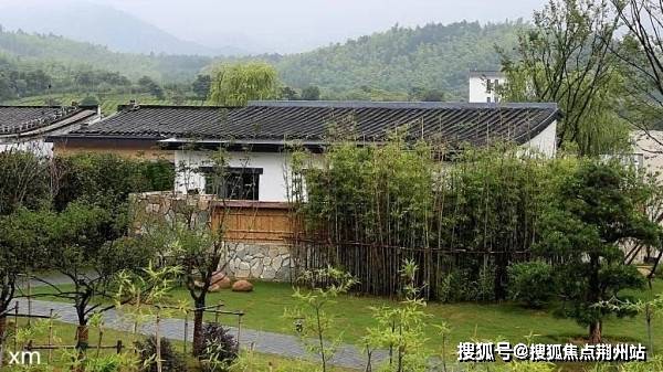 关于FCF拆分盘最新消息的全面解析
