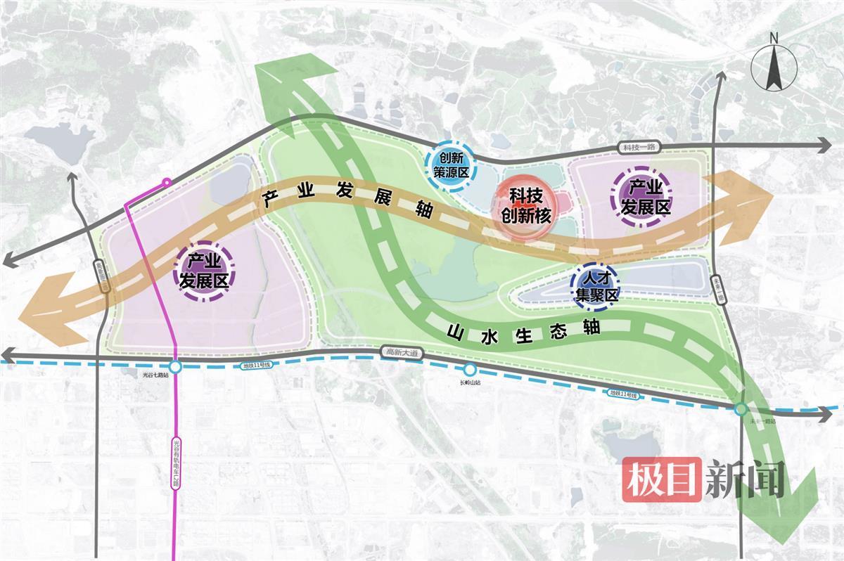 光谷森林大道最新消息，未来蓝图与发展动态