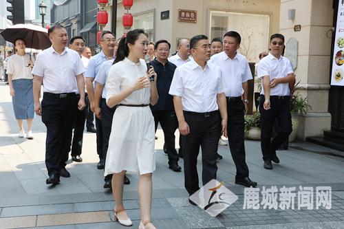 涪陵五马机场最新公告，迈向现代化航空枢纽的重要一步