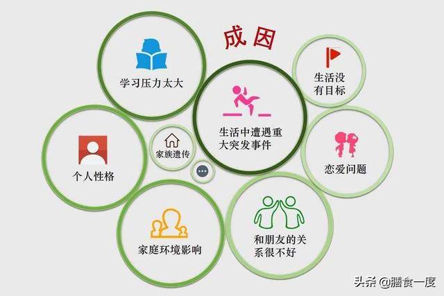 管家婆一码一肖必开，揭秘背后的秘密与真相