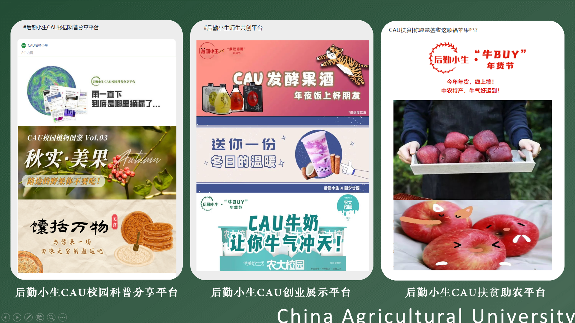 学习进度 第100页