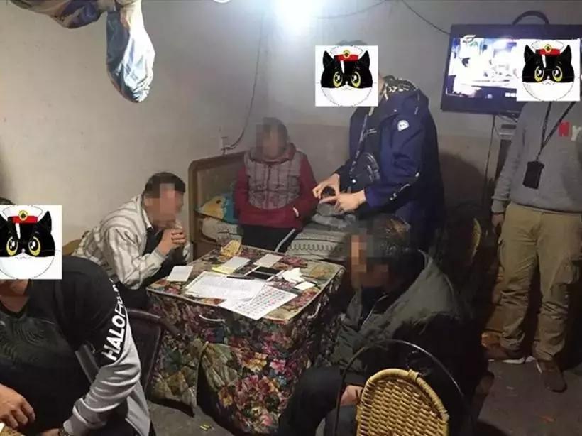 六和彩资料有哪些网址可以看,探索六和彩资料，获取资讯的平台与策略