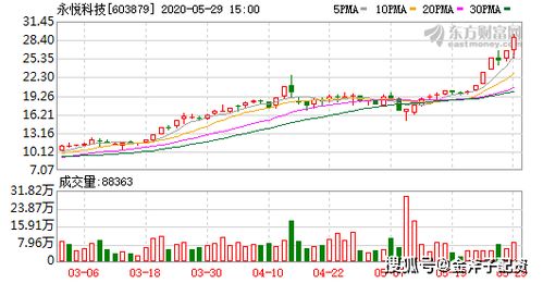 新澳门开奖结果2025,澳门新开奖结果2025年展望与预测
