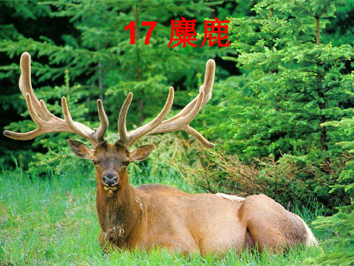学习心得 第59页