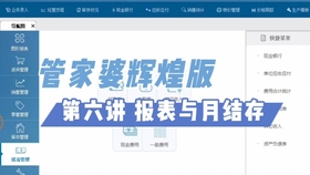 管家婆正版管家,管家婆正版管家的全面解析