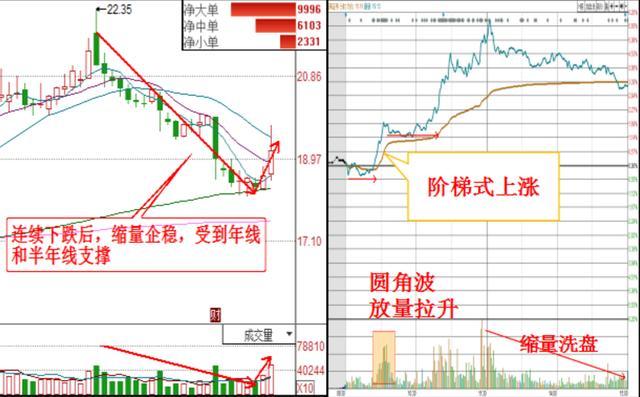 刘伯温精准三期必开一期,刘伯温精准三期必开一期，预测与策略的深度解析
