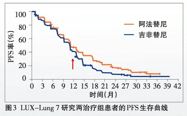 2025新澳历史开奖,探索未来，2025新澳历史开奖展望