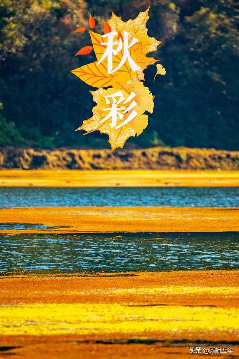 2025年天天彩精准资料,关于2025年天天彩精准资料的深度探讨